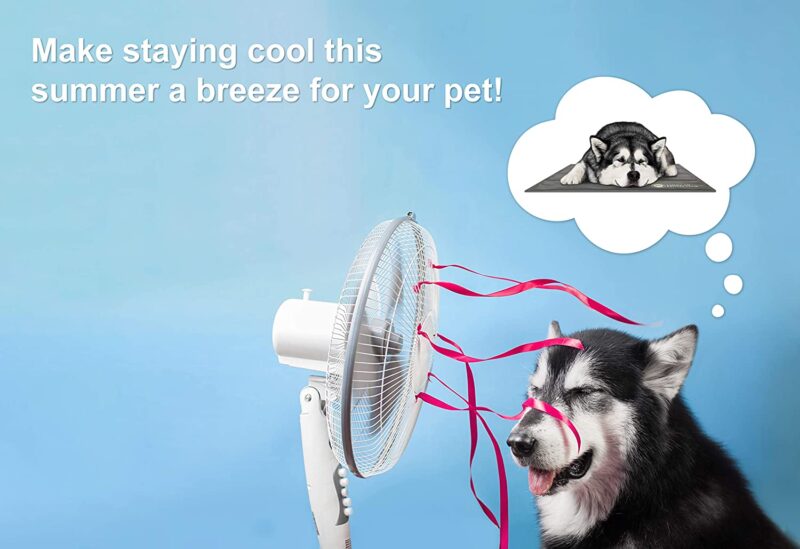 AKC Reversible Pet Cooling Mat for Dogs & Cats