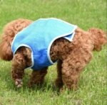 Pet cooling clothes dog cooling vest heat elixir pet products