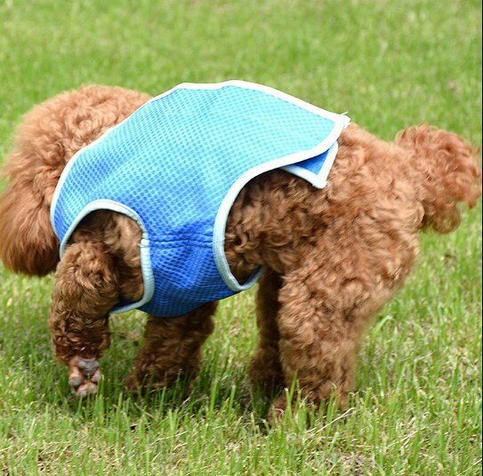 Pet cooling clothes dog cooling vest heat elixir pet products