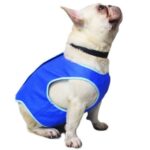 Pet cooling clothes dog cooling vest heat elixir pet products