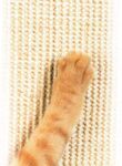 SmartCat Pioneer Pet Ultimate Scratching Post