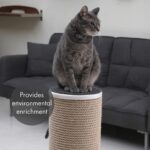 Primetime Petz Hauspanther Maxscratch - Oversized Jute Cat Scratcher & Perch