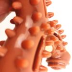 Pet Toys Bite Resistant Dog Solid Beef / Mint Flavor / Milk Scent Dog Toys Teeth Molar Dog Bone Pet Supplies