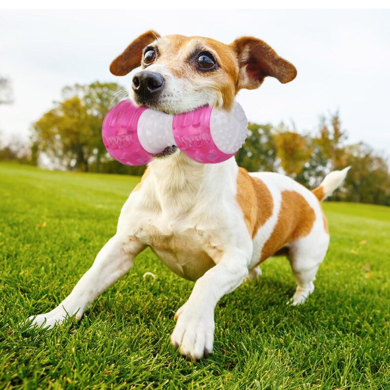 Funny Pet Dog TPR Rubber Squeak Toy Puppy Chew Bite Molar Cleaning Tooth Toys It Will Bring Fun and Entertainment to Your Dog