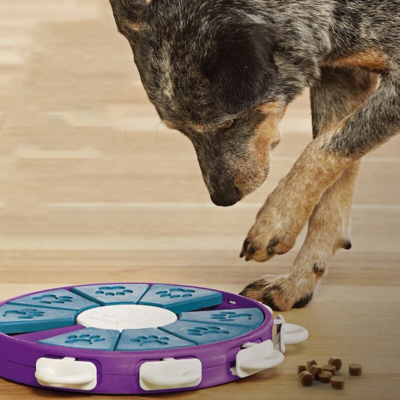 Feeding Dog Puzzle Toy Dog Slow Feeding Device Anti-Choking Food Bowl Disk Training Dog Cat Interactive Pet Toy