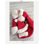 Winter Pet Dog Cat Red Fleece Velvet Thick Warm Christmas Clothes Santa Claus Costume Suit Sets