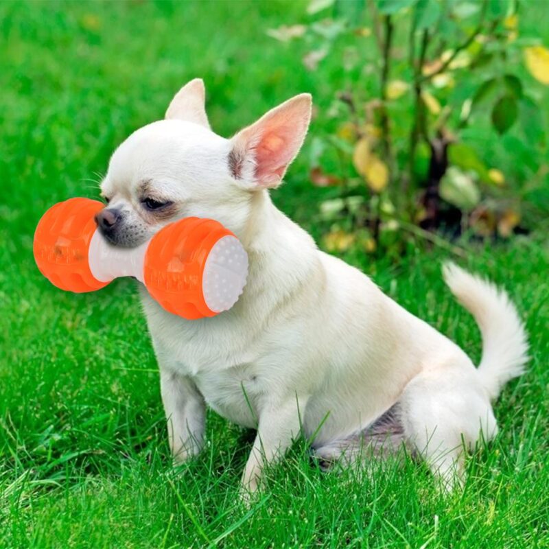 Funny Pet Dog TPR Rubber Squeak Toy Puppy Chew Bite Molar Cleaning Tooth Toys It Will Bring Fun and Entertainment to Your Dog