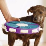 Feeding Dog Puzzle Toy Dog Slow Feeding Device Anti-Choking Food Bowl Disk Training Dog Cat Interactive Pet Toy