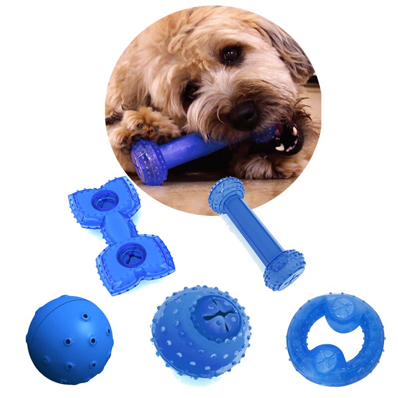 Summer Dog Chew Toy Dogs Cooling Toys for Puppy Chewing Training Play Overflow Water Bone Ball Pet Toys Dog Accessories