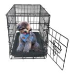 20 inch Pet Kennel Cat Dog Household Folding Steel Crate Black Animal Metal House Cage for Small Large Cat Bed Dog Home (Black 20inch)