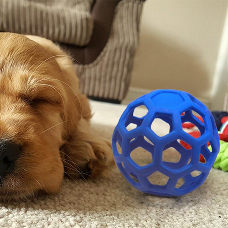 Dog Puppy Cat Pet Chew Toy Hollow Bell Tennis Ball Chew Scratch Playing Training Molar Pet Toy Interactive Pet Training Products