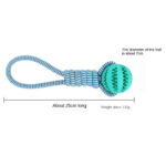 Funny Pet Molar Bite Dog Toys Rubber Chew Ball Cleaning Teeth Safe Elasticity TPR Soft Puppy Suction Cup Biting Dog Toy