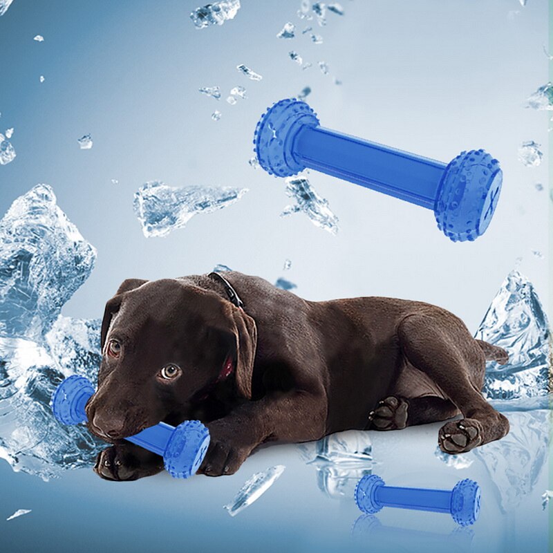 Summer Dog Chew Toy Dogs Cooling Toys for Puppy Chewing Training Play Overflow Water Bone Ball Pet Toys Dog Accessories