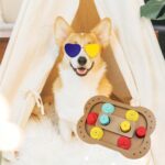 Dog Puzzle Toys Increase IQ Interactive Puppy Dog Food Dispenser Pet Dogs Training Games Feeder for Puppy medium Dog Bowls