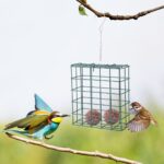 Hanging Metal Cage Food Feeding Container Portable Outdoor Wild Birds Feeder Garden Decoration Pet Bird Feeder Bucket
