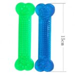 2019 New Bone Dog Toys Interactive Pet Chew Toy TPR Biting Resistance Tooth Cleaning Tool Small Dogs Molar Training Toys