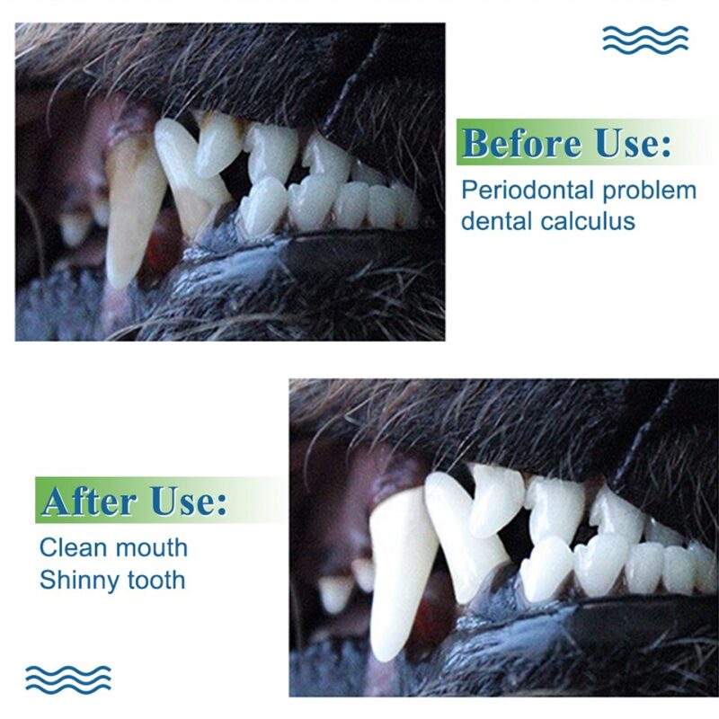 Pet Products Big Dog Toothbrush For Dogs Effective Brushing Stick Teeth Cleaning Toys For Small Medium Large Dog FS0001