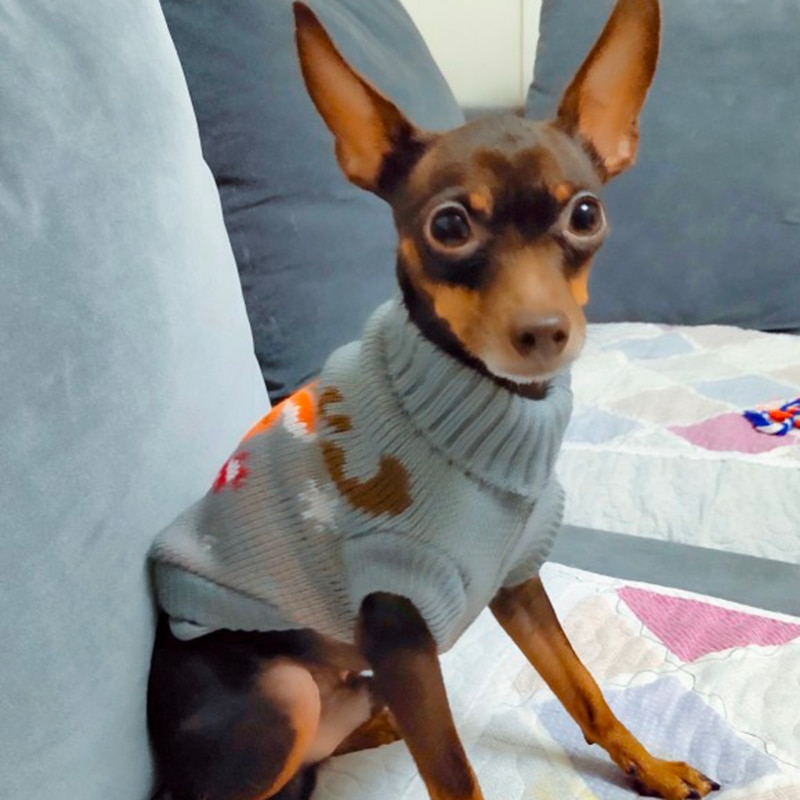 Christmas Cat Dog Sweater Pullover Winter Dog Clothes for Small Dogs Chihuahua Yorkies Puppy Jacket Pet Clothing ubranka dla psa
