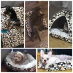 Dog Bed Sofa Pet Bed Mats For Small Medium Large Dogs Cats Kitten House For Cat Puppy Dog Beds Mat Bench Pet Kennel Pet Products