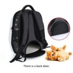 High quality transport carrying cat bag breathable bubble astronaut travel big space capsule dog pet carrier backpack
