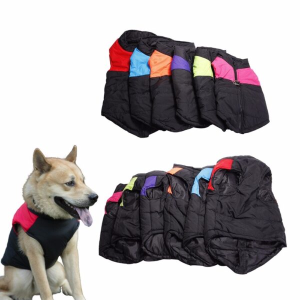 HTB1gXsBXjDuK1Rjy1zjq6zraFXaS.jpg