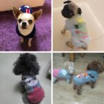 Christmas Cat Dog Sweater Pullover Winter Dog Clothes for Small Dogs Chihuahua Yorkies Puppy Jacket Pet Clothing ubranka dla psa