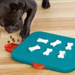Big deal Dog Casino Food Feeder Toys Slow Feeder for Pet Treasure Hunt Educational Slow Feeding Interactive Puzzle Training Toy (Blue)