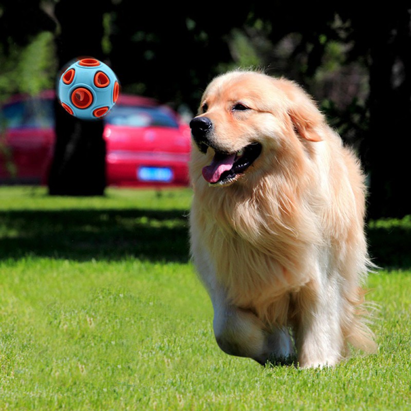 Hollowed Ball Pet Dog Toys Funny Luminous&Bell TPR Chew Toys For Small Medium Large Dogs Pet Training Products