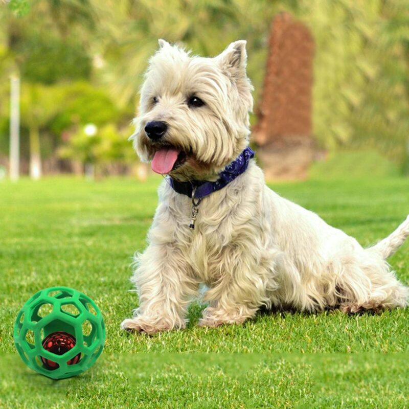 Dog Puppy Cat Pet Chew Toy Hollow Bell Tennis Ball Chew Scratch Playing Training Molar Pet Toy Interactive Pet Training Products
