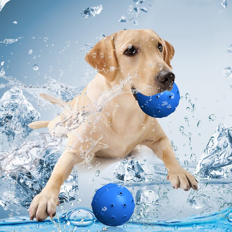 Summer Dog Chew Toy Dogs Cooling Toys for Puppy Chewing Training Play Overflow Water Bone Ball Pet Toys Dog Accessories