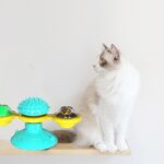 Pet Toys For Cats Interactive Puzzle Training Turntable Windmill Ball Whirling Toys For Cat Kitten Play Game Cat Supplies