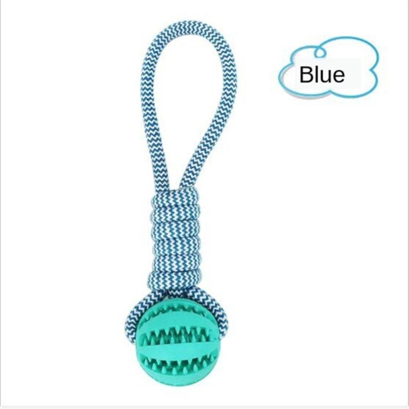 Funny Pet Molar Bite Dog Toys Rubber Chew Ball Cleaning Teeth Safe Elasticity TPR Soft Puppy Suction Cup Biting Dog Toy