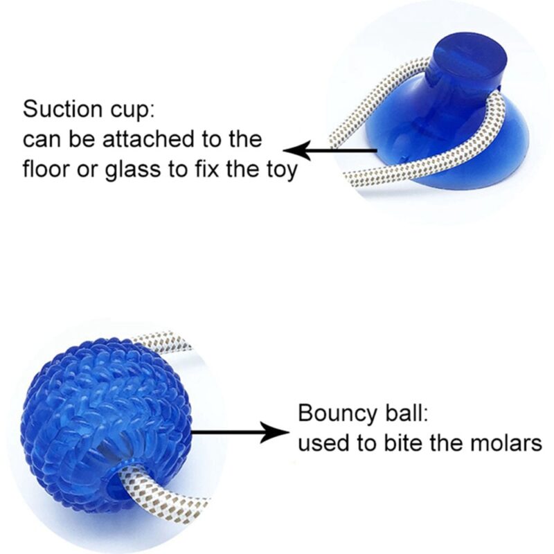 Dog Interactive Suction Cup Push TPR Ball Toys Elastic Ropes Dog Tooth Cleaning Chewing Playing IQ Treat Toys Pet Puppy Supplies
