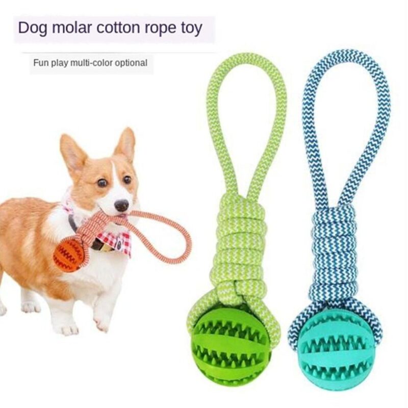 Funny Pet Molar Bite Dog Toys Rubber Chew Ball Cleaning Teeth Safe Elasticity TPR Soft Puppy Suction Cup Biting Dog Toy