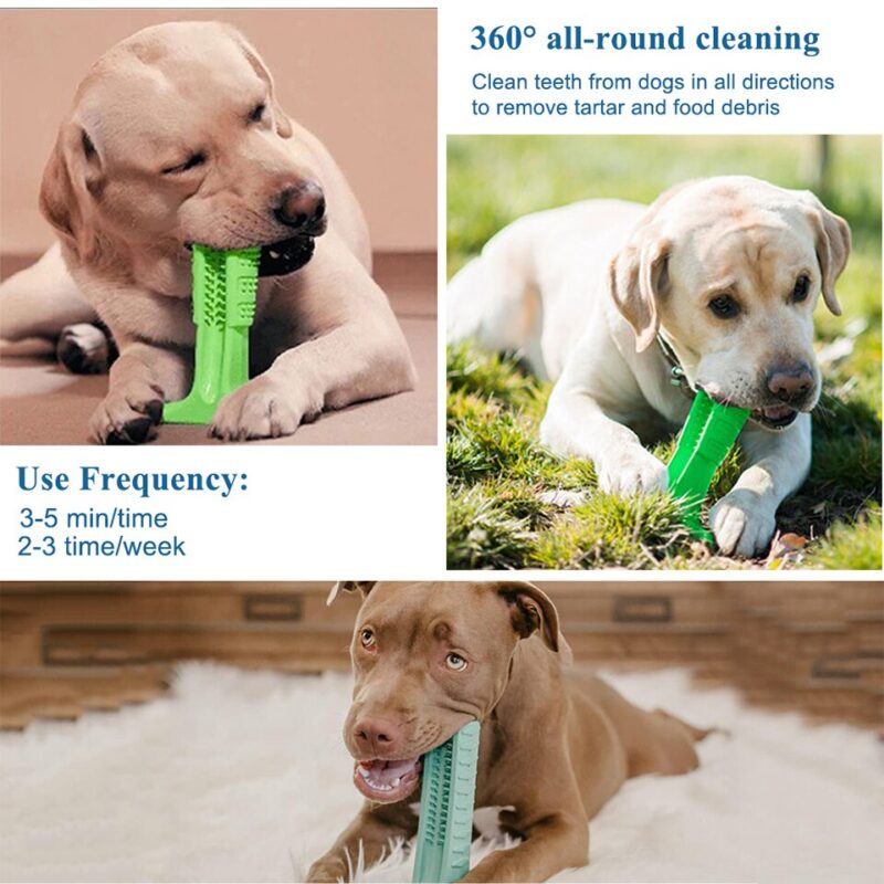 Pet Products Big Dog Toothbrush For Dogs Effective Brushing Stick Teeth Cleaning Toys For Small Medium Large Dog FS0001