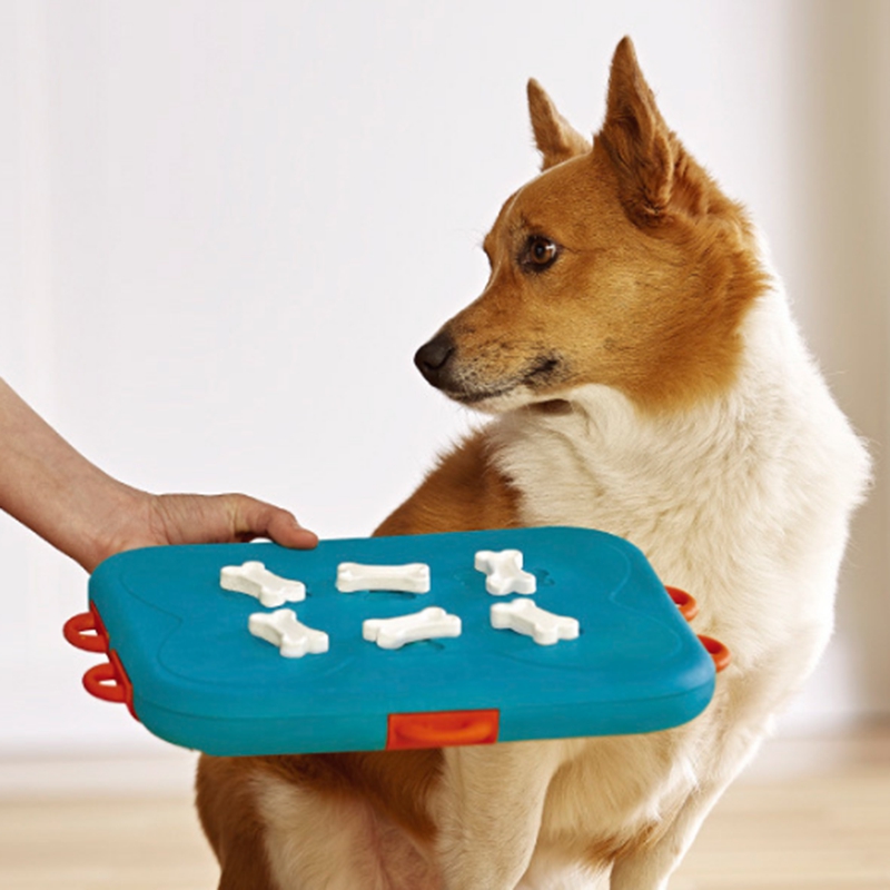 Big deal Dog Casino Food Feeder Toys Slow Feeder for Pet Treasure Hunt Educational Slow Feeding Interactive Puzzle Training Toy (Blue)
