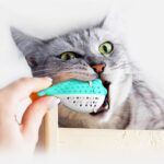 Pet Soft 3D Fish Shape Cat Toy Cat Toy Catnip Kitten Toy  Simulation Fish Teeth Cleaning Chew Pillow Pet Supplies