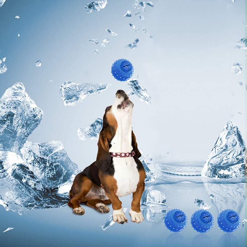 Summer Dog Chew Toy Dogs Cooling Toys for Puppy Chewing Training Play Overflow Water Bone Ball Pet Toys Dog Accessories