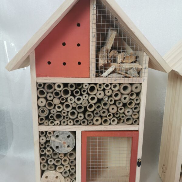Wooden Insect House